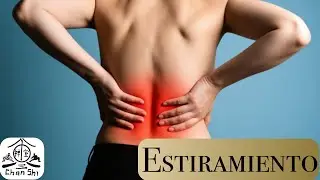 Estiramiento de espalda 1. #estiramiento