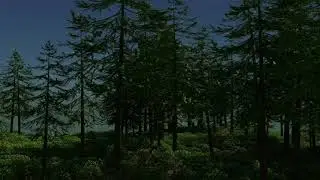 Oak forest l made with blender 2.8