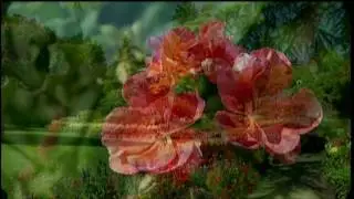 Butchart Gardens with Felder Rushing