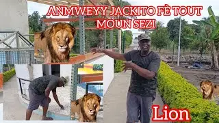 JACKITO FÈ TOUT MOUN SEZI JODIA GADON  MIRAK🙆