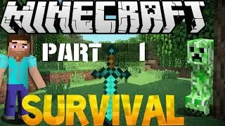 Minecraft live stream