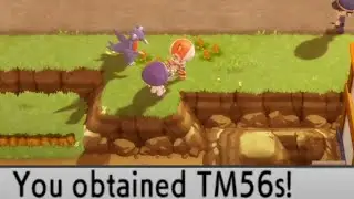 Fling TM Location (Route 222) - Pokemon Brilliant Diamond & Shining Pearl