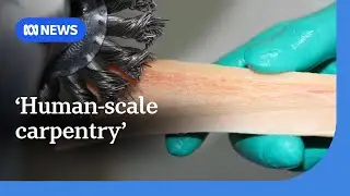 How bone banks breathe new life into donated bones | ABC News