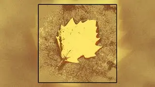 linakamura - The Woodlands [EP]