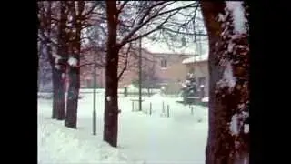 Divača