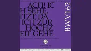 BWV 162 - Ach! Ich sehe, itzt, da ich zur Hochzeit gehe: 5 Arie (Duett Alt, Tenor) - In meinem...
