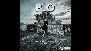 ARAL - PLO