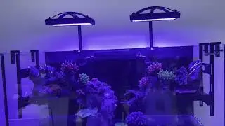 New 240W A8SE II Max Blue 2.0 Generation Full Spectrum WiFi APP Control