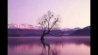 Evening at the Lake | Max Oesten's Nocturne (Piano Solo)