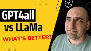 GPT4All vs LLaMa: Playing with AI in the Cloud