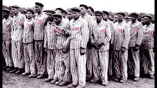 Hitler Nazi concentration camp Holocaust pink triangle badge L.G.B.T