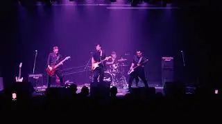 Snail - Johnny B. Goode (En Vivo 2025)