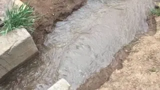 Release the Waters! Kit Carson Park Acequia