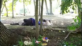 BELOVED FENS IS BEING TURNED INTO A SANCTUARY FOR THUGS WITH THE COMPLICITY OF BOSTON PARKS