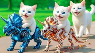 Mama Cat Trims Fur on the Farm and Makes Tiger Hat For Kittens At Home🐾🎩🐯