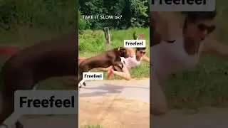 moy e moy e #freefeel#funnyshorts #subscribe for more