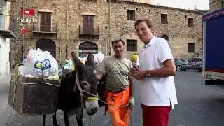 Sicilia - Asini spazzini  ( The garbage donkeys)