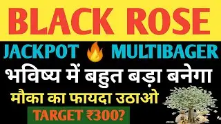 Black rose share| Black rose share analysis| Black rose share latest news| Black rose share price