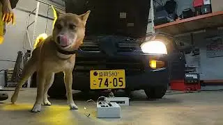 Boslla 3 in 1 LED Bulb install
