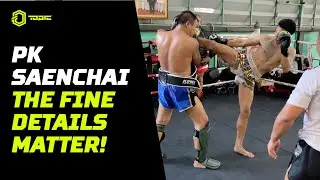 Everything Matters! Detailed Fight Strategy Breakdown