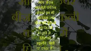 Nyctanthes Arbor Tristis !! Homeopathic Medicine !! #bydrncghosh