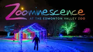 Zoominescence ✨ Nature in Motion | Edmonton Valley Zoo Part 2