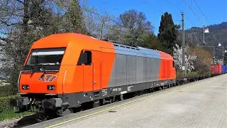 BREGENZ: Lineas-Containerzug mit RTS 2016, Bauzug, Dosto, Talent1, EC mit ETR610 ASTORO, IC Bodensee