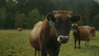 Working Lands Promo