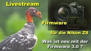 Firmware 3.0 für die Nikon Z8 - Was ist neu mit der Firmware 3.0 ?