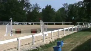 Sara - RMS 2010