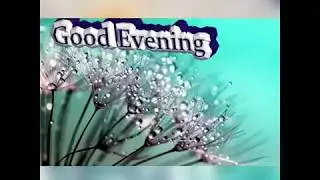 Best 3D Good Evening Flowers WhatsApp Greeting Video Message,....Flowers Images Photos #5