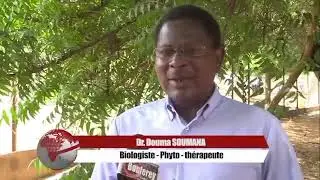 LES VERTUS M&Eacute;DICINALES DU NEEM Dr DOUMA Soumana