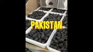 Saudi Arab Madina Ajwa Dates in Pakistan | Saudi Dates in Karachi | Ajwa Khajoor