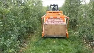 Huron Fruit Systems Bin Trailer - Moving 5 apple bins at a time