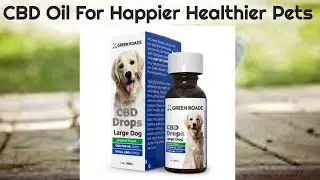 Green Roads Pet CBD - CBD For The Health Of Your Pets