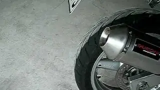 Suzuki SV 650 Takkoni mit DBKiller