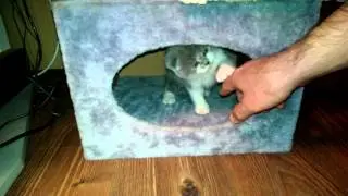 VIDEO0120