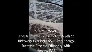 RAS  DO  Improvement @ Pulp Mill WWTP  AA Thailand