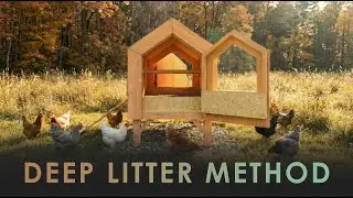 Deep Litter Method for Chicken Coops: Warm in Winter & Clean 2x/Year (Beginners Guide)