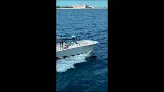 SeaWell 345XL | High Performance, Center Console, Fishing Boat