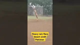 Monsoon season first heavy rain Nara desert sindh Pakistan