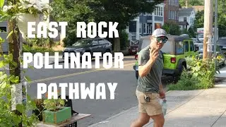 Goatville Salvage | Pollinator Pathway in East Rock | New Haven