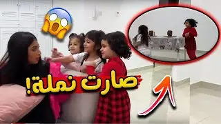 منى حلمت انها صارت نمله 🤣🕷