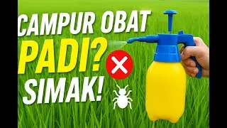 🌾 &ldquo;Obat Campuran Aman untuk Padi Sawah!&rdquo;