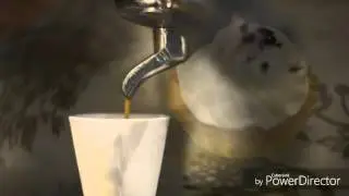 All Day cafe Черноморск