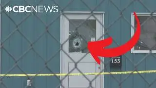 What we know about a grenade thrown into a Cape Breton business