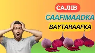 wax ka ogow Caafimaadka Baytaraafka uu jidhka u leeyahay.
