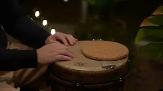 Djembe: Remo Mondo Djembe Drum 12&rdquo; + Snare Wire