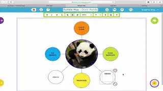 Web Tutorial about ThinkingMaps.com