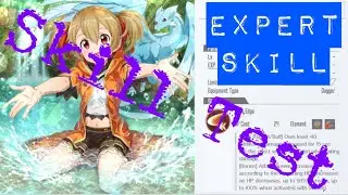 SAO Integral Factor (SAO IF): Enjoy Vacation Silica Skill Test